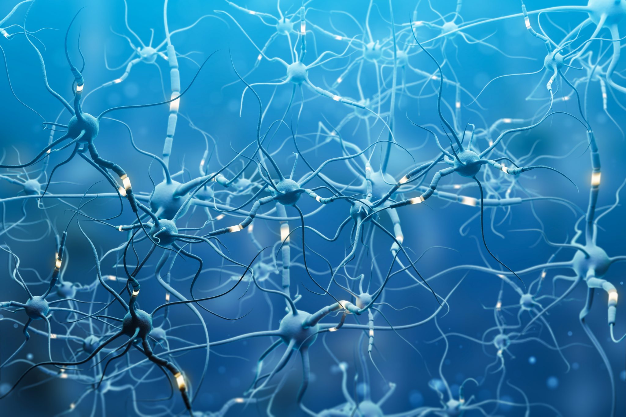 neurons